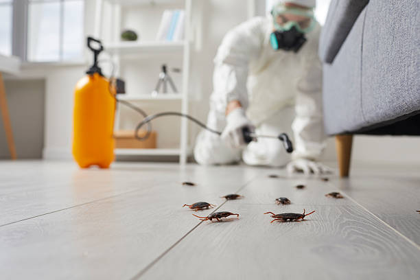 Commercial Kitchen Cockroach Control in Aldan